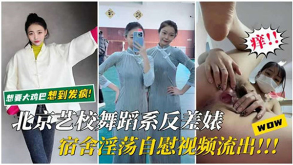 手机在线免费不卡av播放